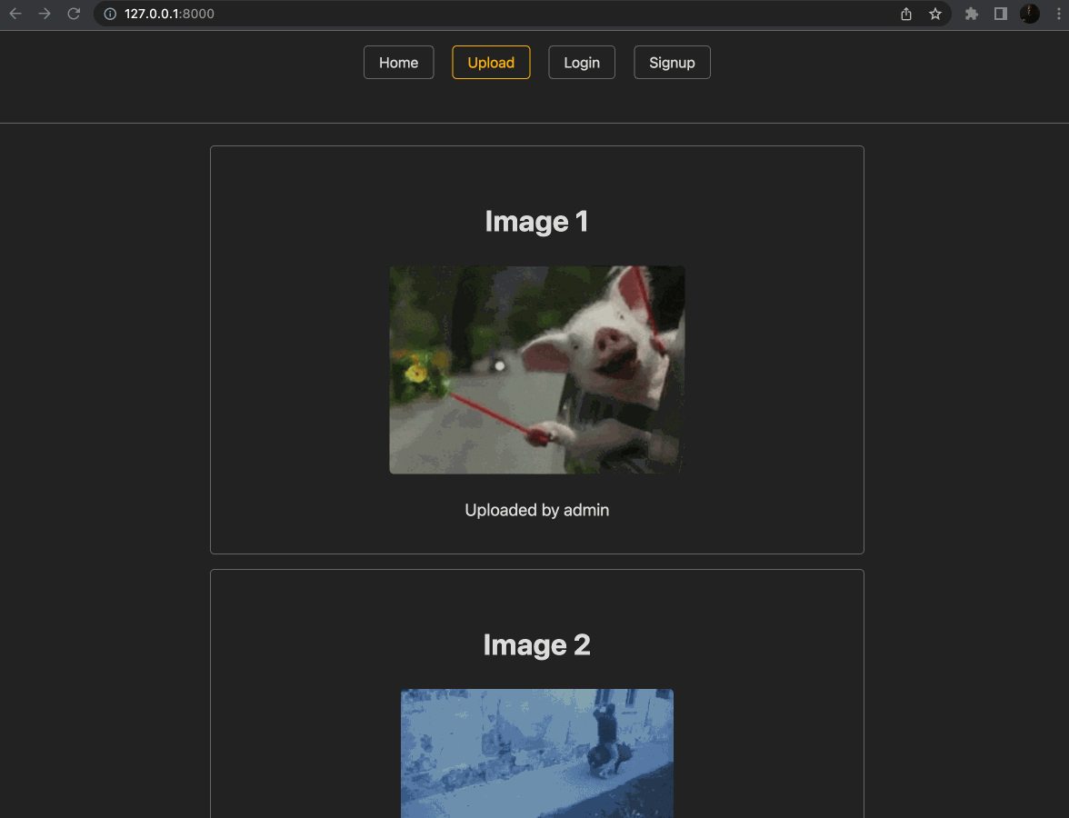 I-should-have-double-checked GIFs - Get the best GIF on GIPHY