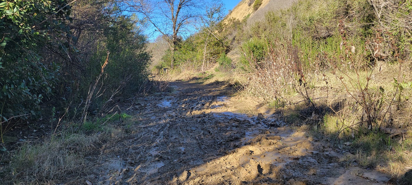 Muddy section of trail, Stage Road