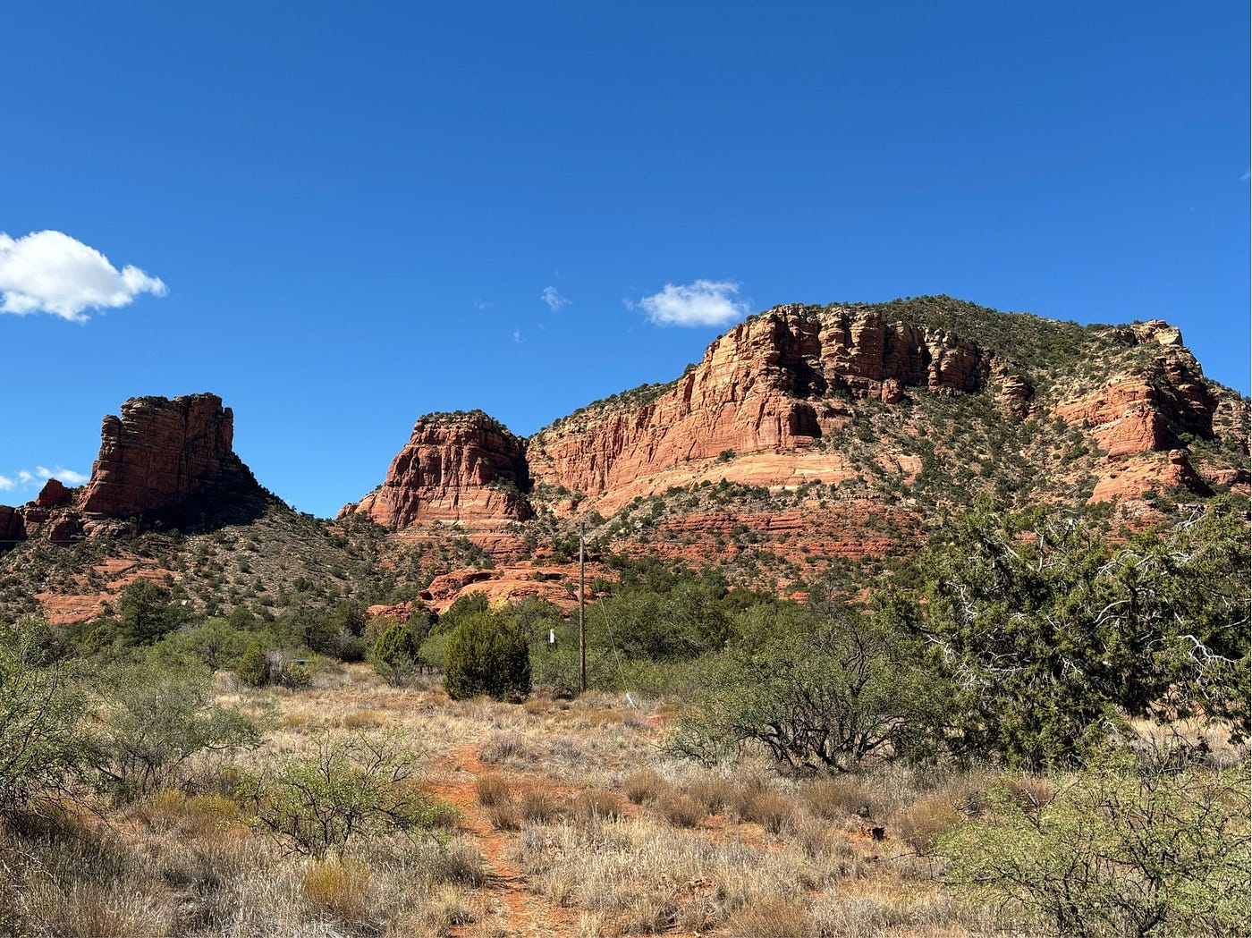 More lunch view…