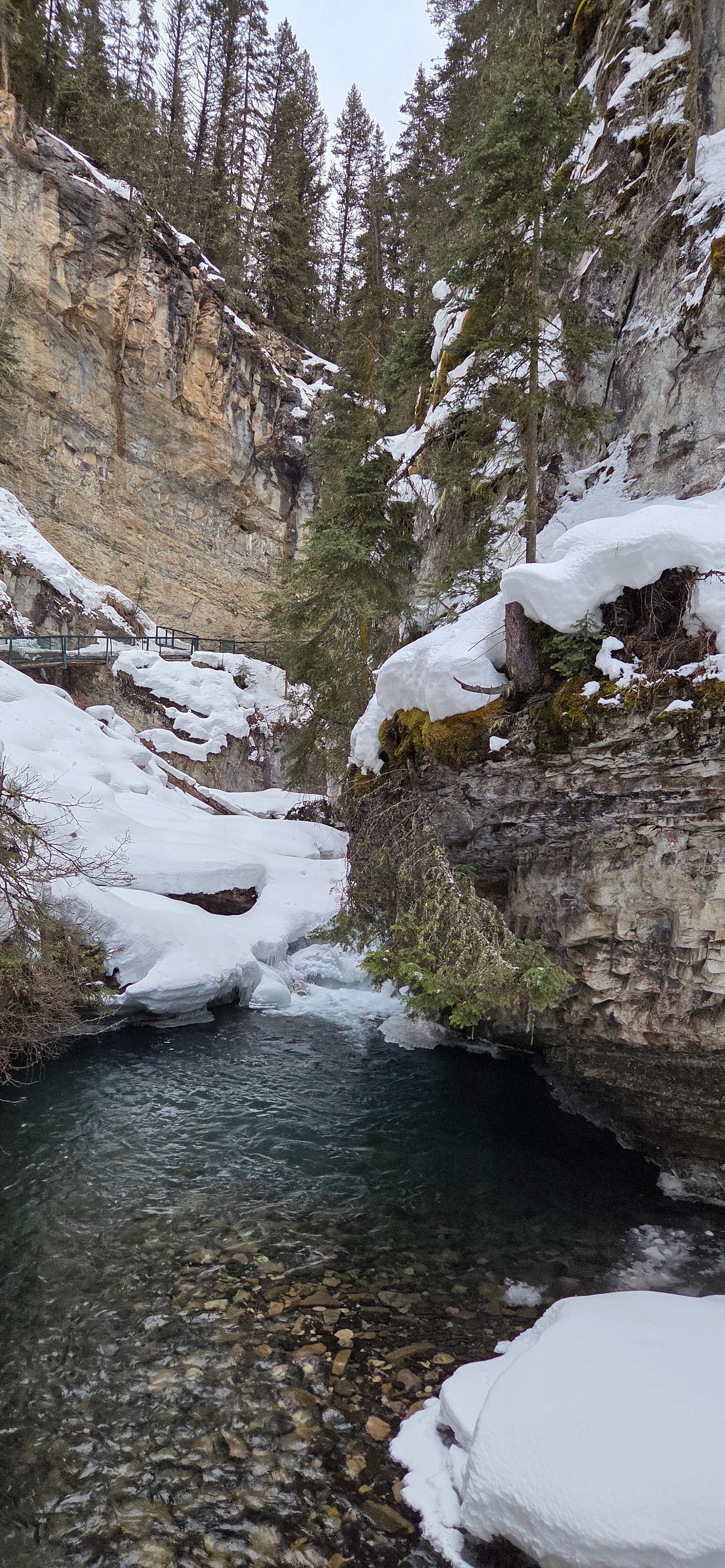 A Spring Walk at Johnston Canyon