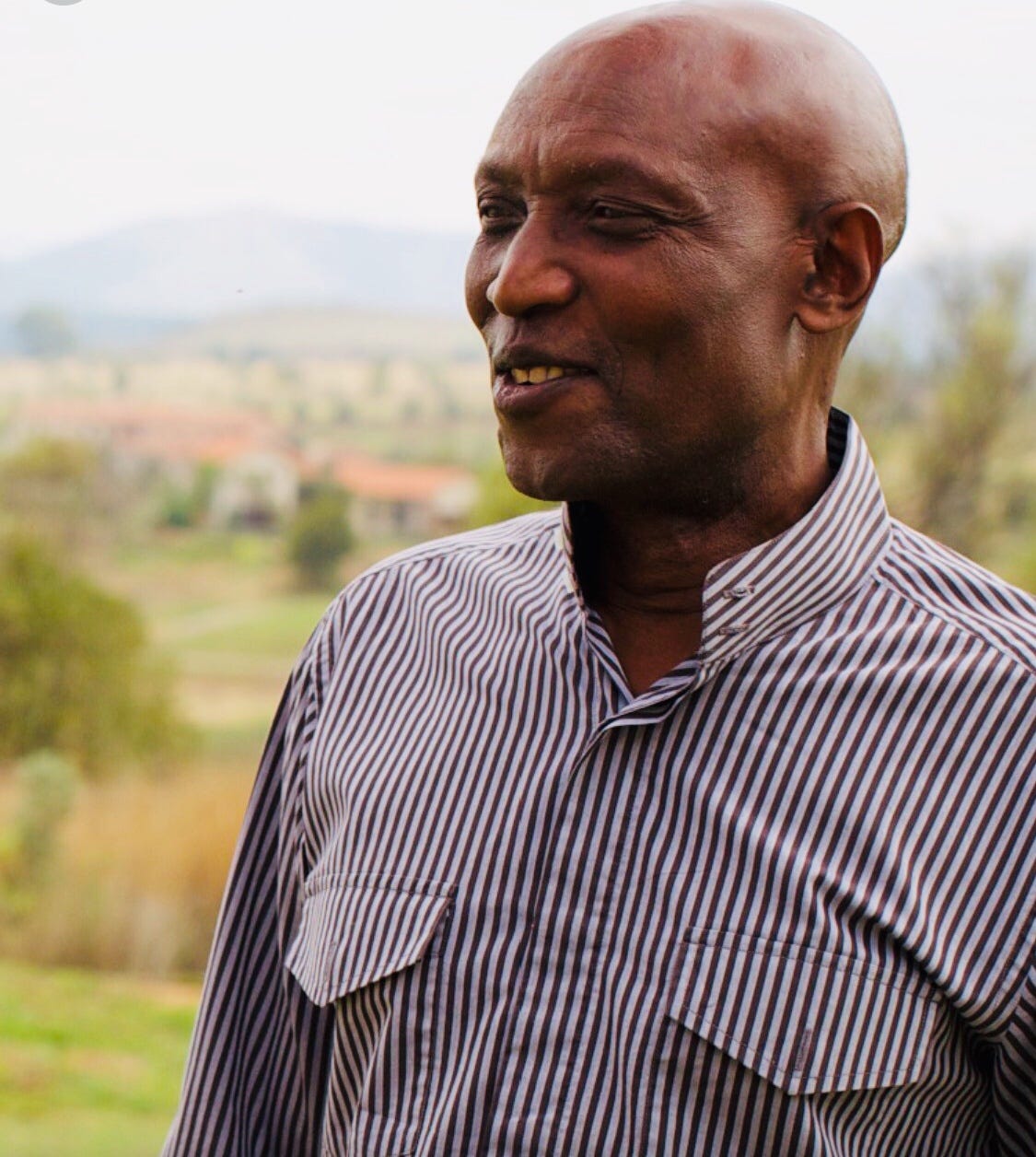 Pan African Tobacco Group — PTG. A Homegrown Company With Deep Roots… | by  David Himbara