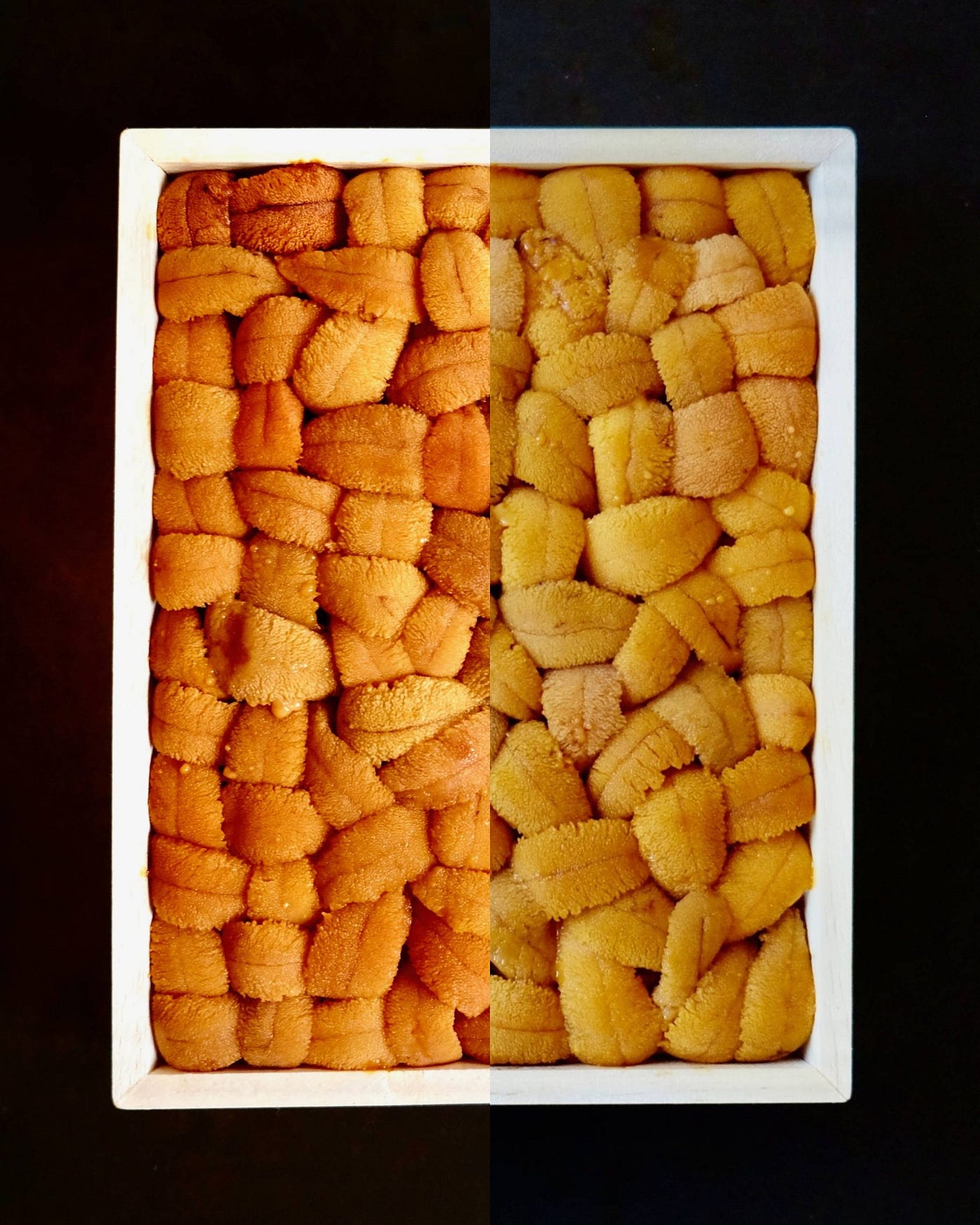 The Uni You Don’t Know: Bafun vs. Murasaki, and Why the Sex of Your Sea Urchin Matters