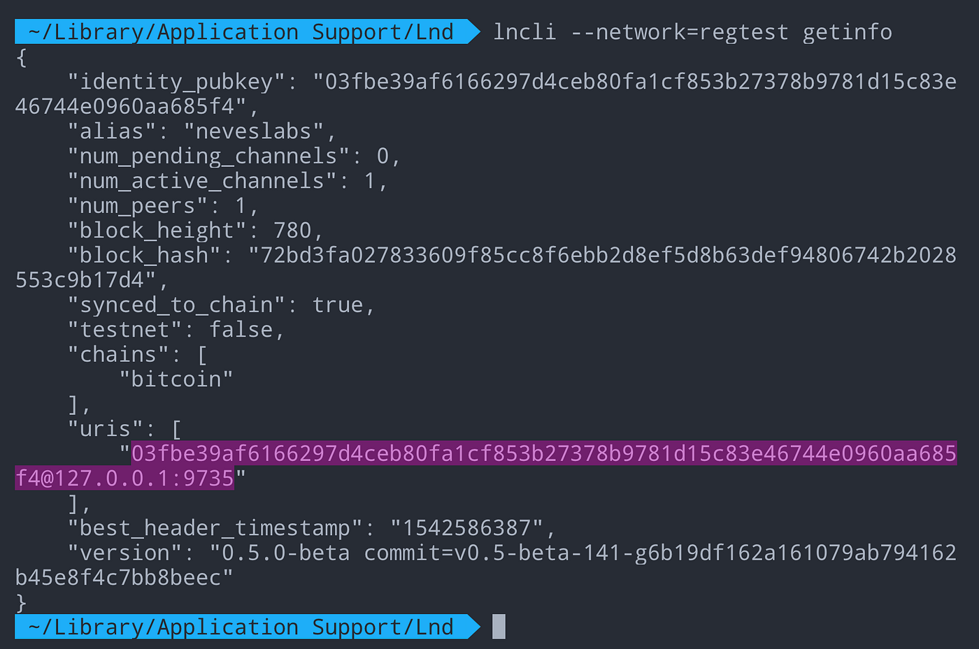 Lightning Network Development for Modern Applications | by André Neves |  Lightwork | Medium