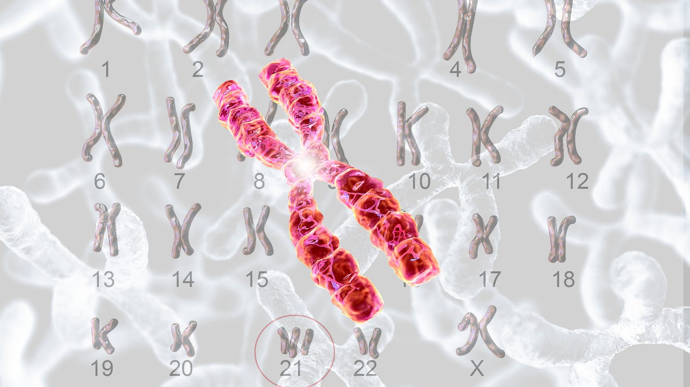 Your telomeres may help you live longer