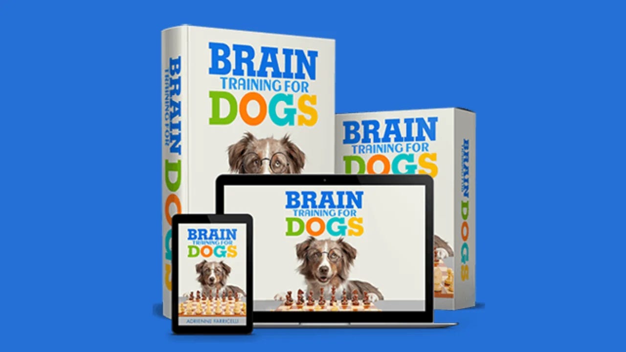 Brain Training for Dogs Review: Unlock Your Canine Companion's Potential -  The Jerusalem Post