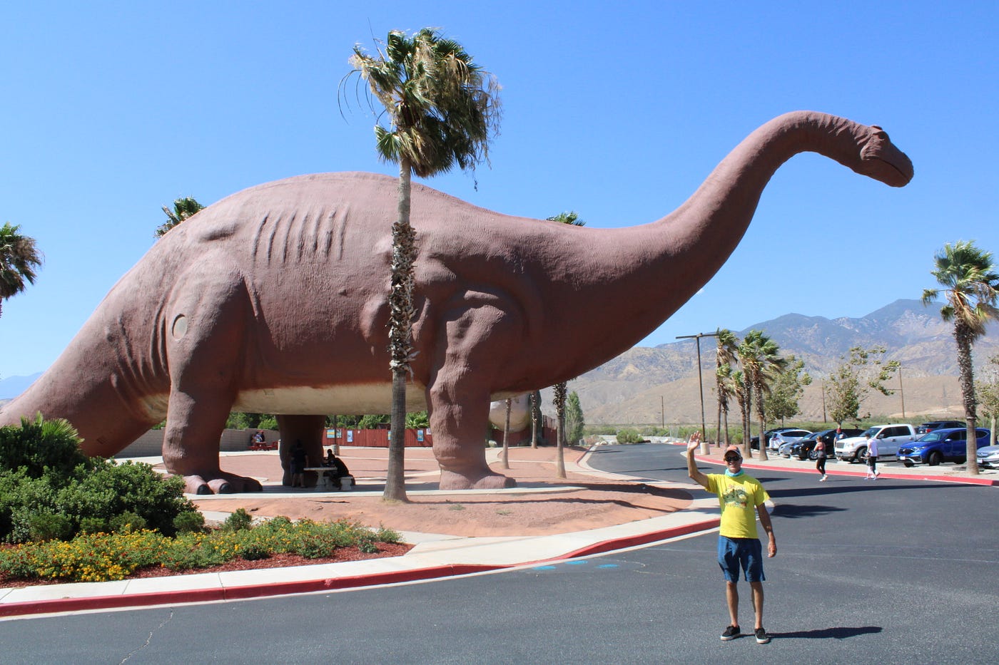 Interstate-10 Dinosaurs Named Dinny and Mr. Rex | by Kimberly Us