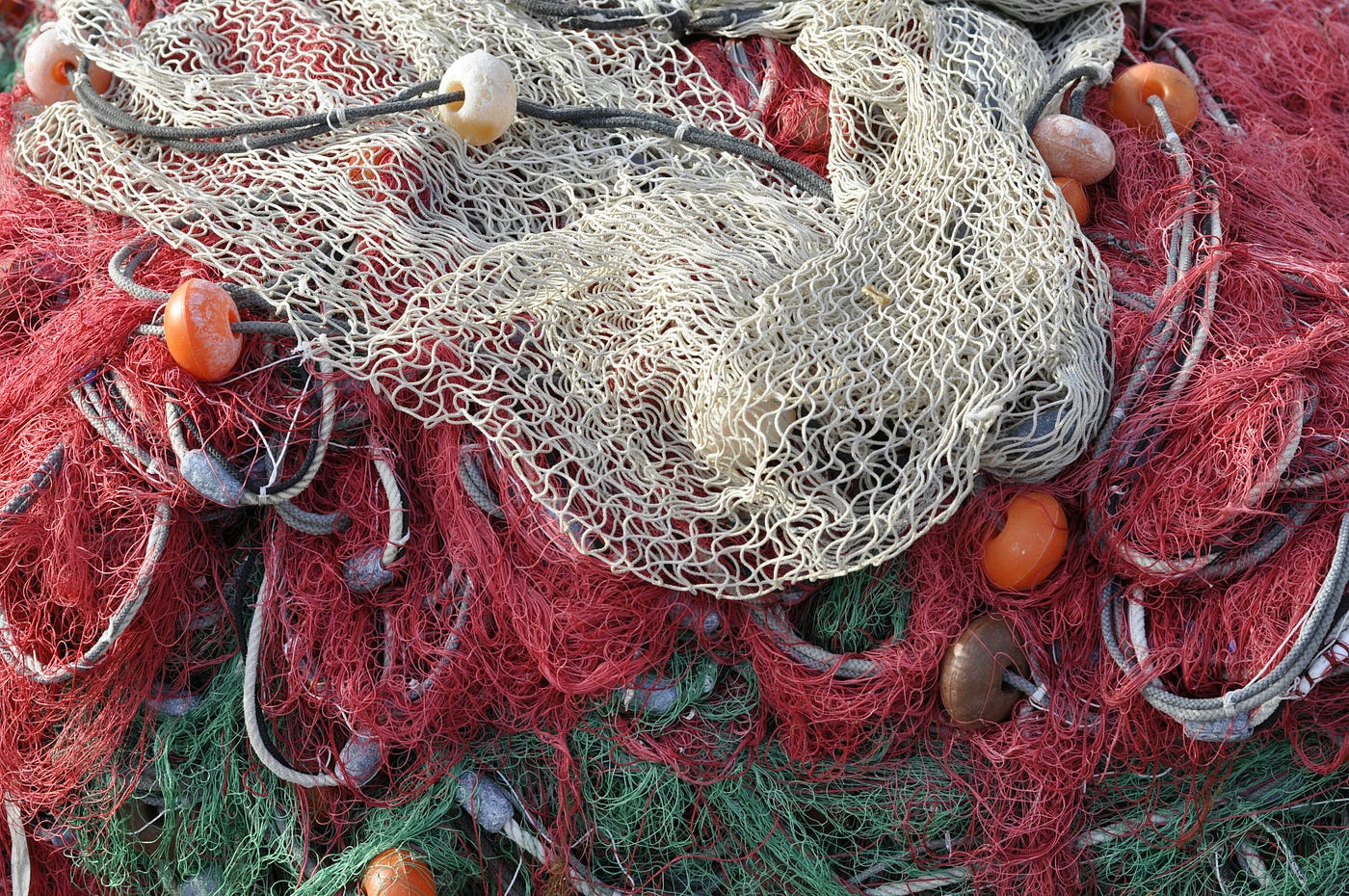 From Trash to Treasure: Businesses Reinventing Waste