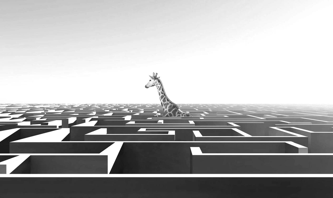 Self-Rule: The Final Frontier