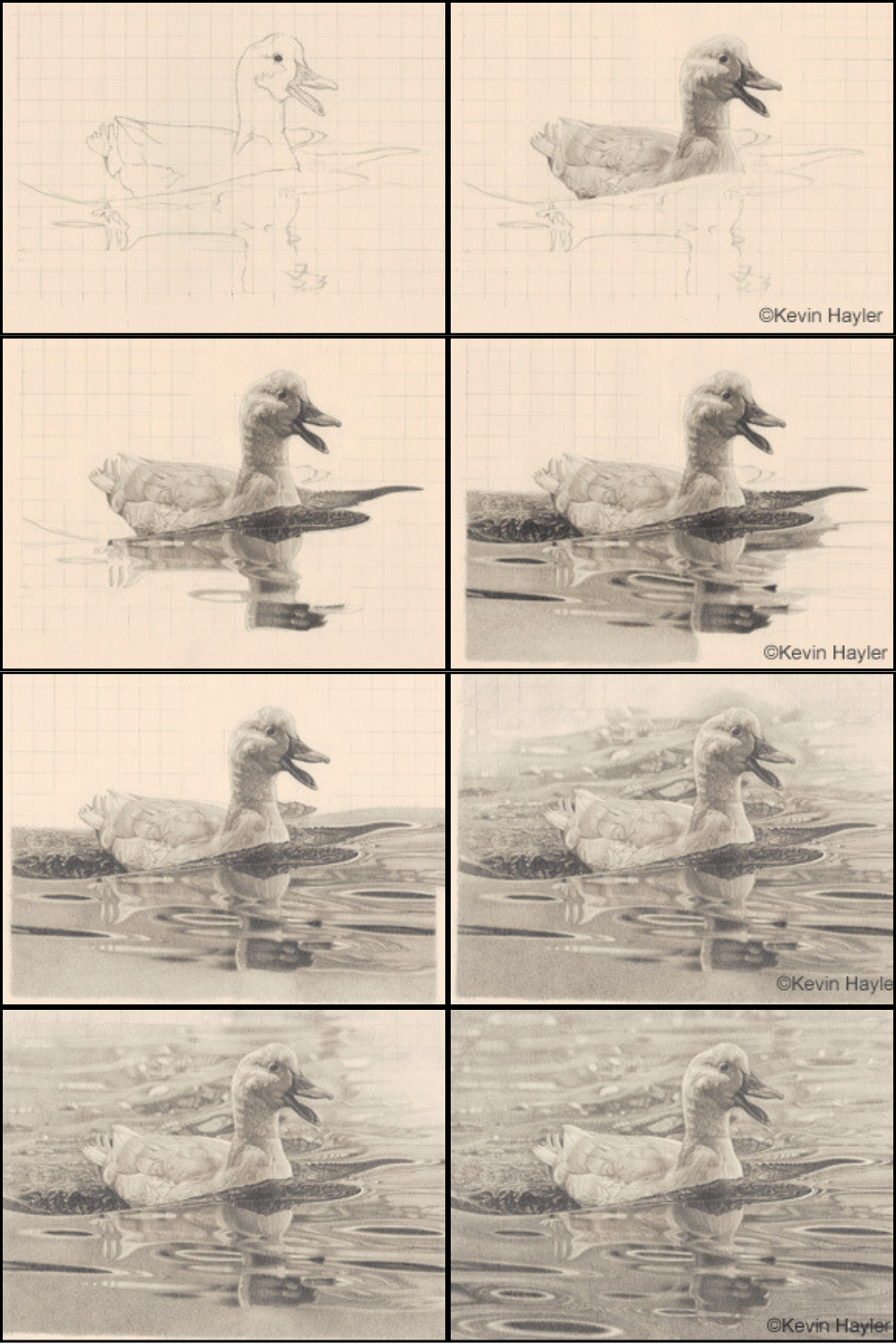 How to Draw Water: Ripples, Reflections, and Splashes | by Kevin Hayler |  Medium, image size:1000x1500