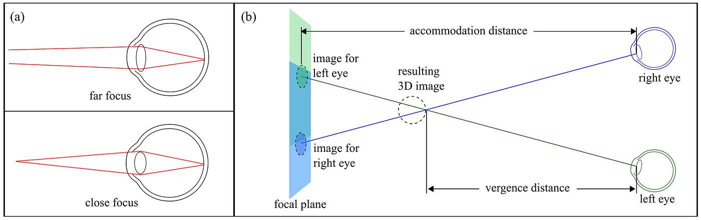 Seeing, Hearing, and Feeling the Virtual World: The Multisensory Quest in VR