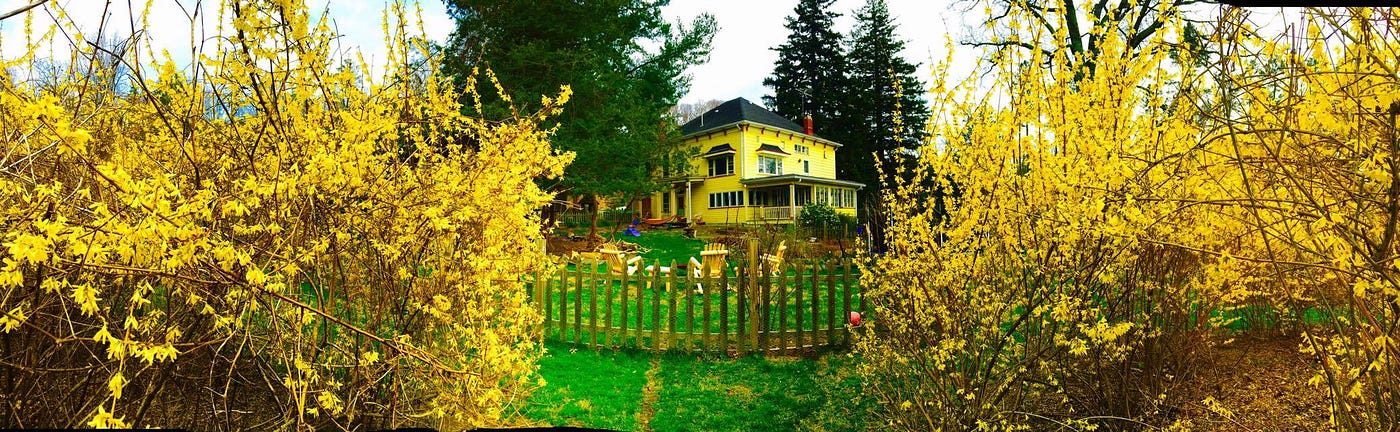The Big Yellow Farmhouse. Meet the Big Yellow Farm House | by Jay