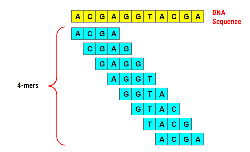 Bioinformatics 1: K-mer Counting. A challenging yet intriguing… | by  Gunavaran Brihadiswaran | The Startup | Medium