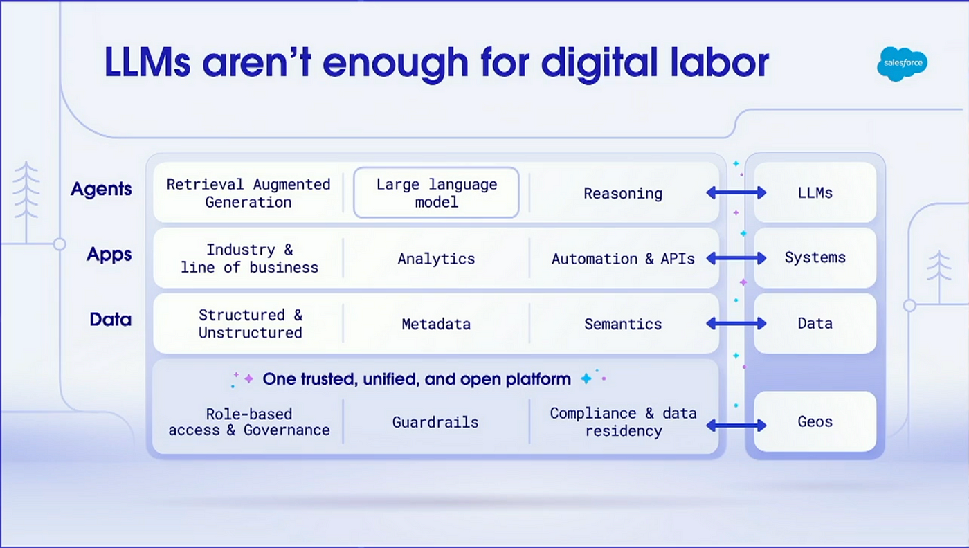 Salesforce Platform + LLM