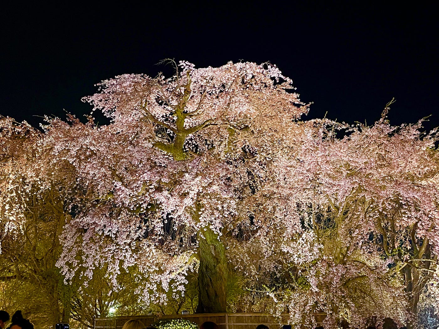 The Unexpectedly Unknown Side of Japanese People