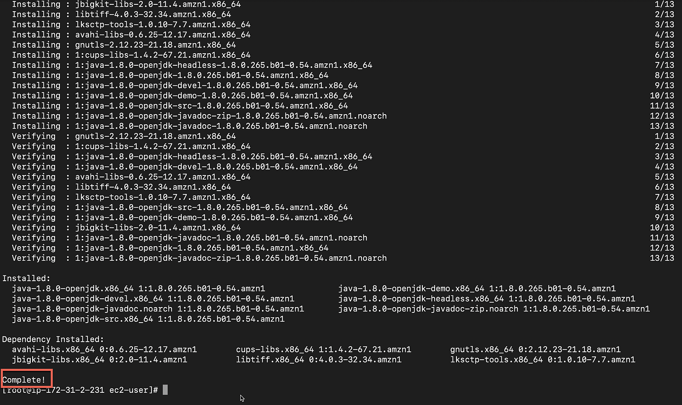 How to install Jenkins server on a AWS Linux Instance | by Kartheek | Medium