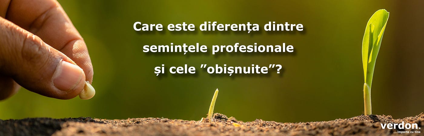Seminte plante — Cum sa alegi semintele de legume sau cereale?