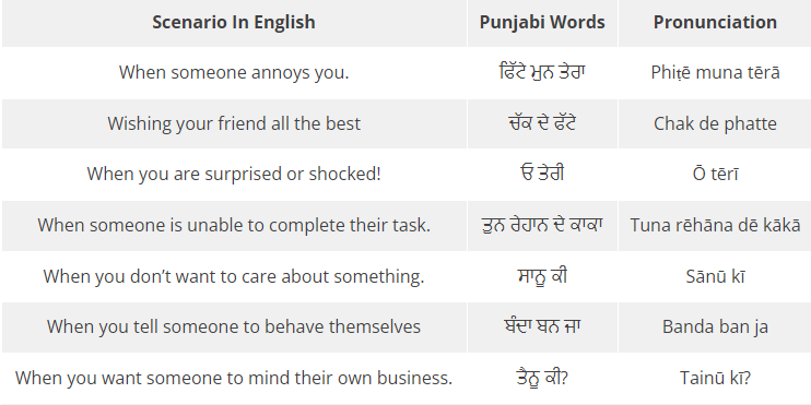 List Of Punjabi Slangs That Only Punjabis Understand And Others  Don't