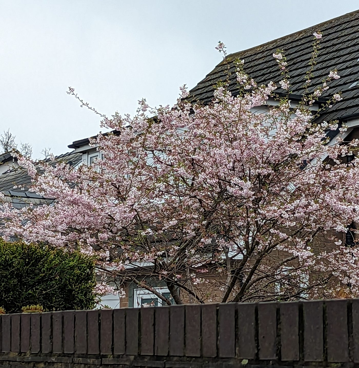 實用文】IB換完英鎊/加紙/美金，如何免費拎到手？ - 西米， Go！ - Medium