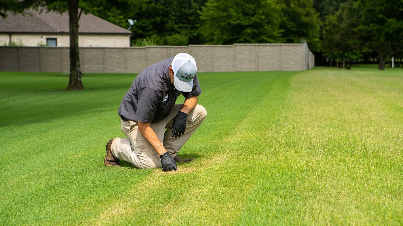 lawn care service program