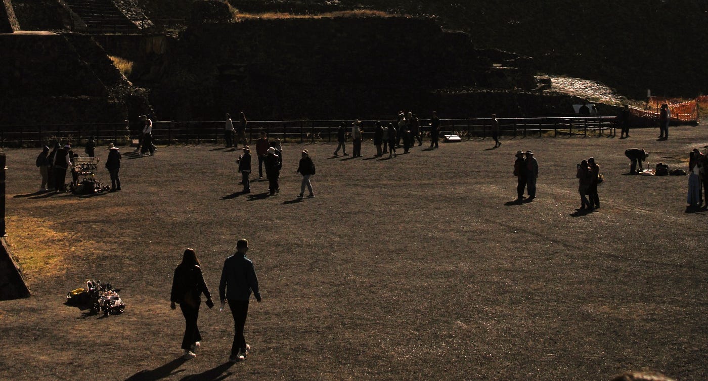 XXVI: La flor que será amada