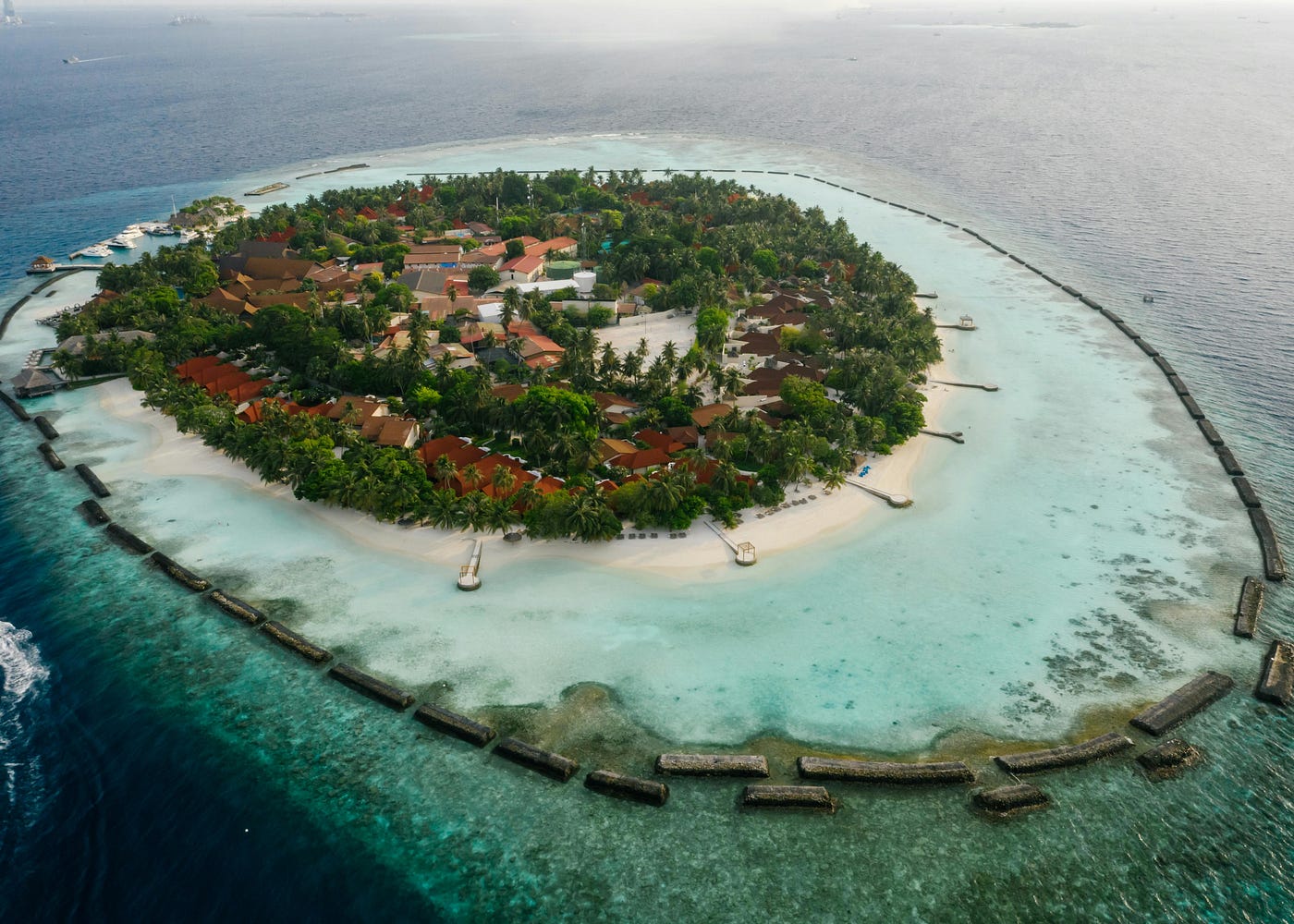 Process Server Palau