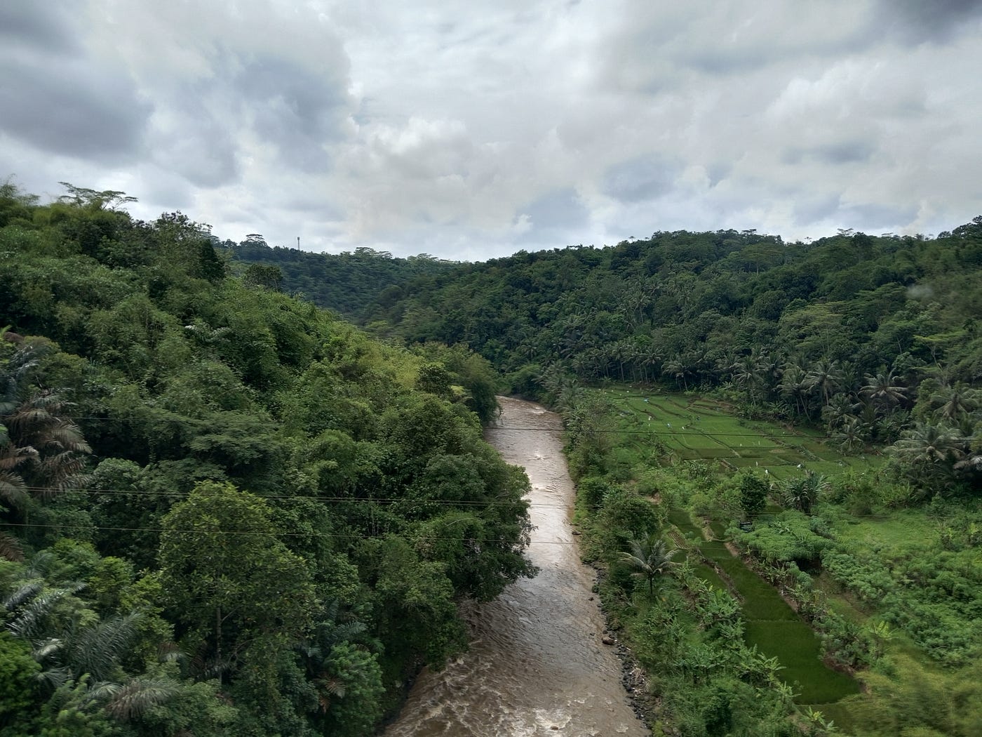 Wild bushes or a farmer garden (top) and a river (bottom).