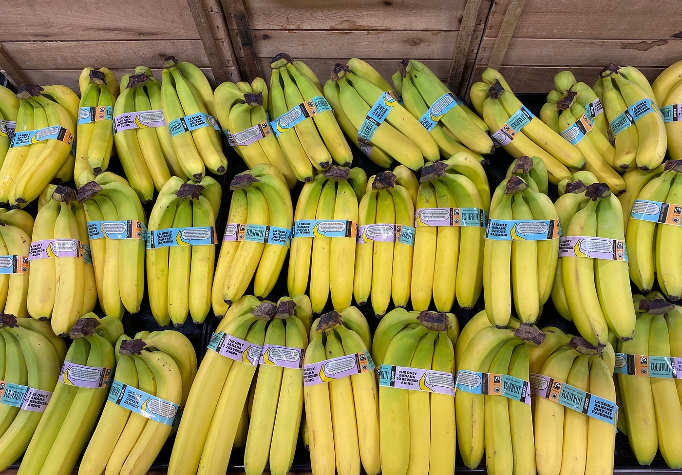 20 Years of Banana Badassery: Lessons from Two Decades of Balancing Purpose and Profit at Equifruit