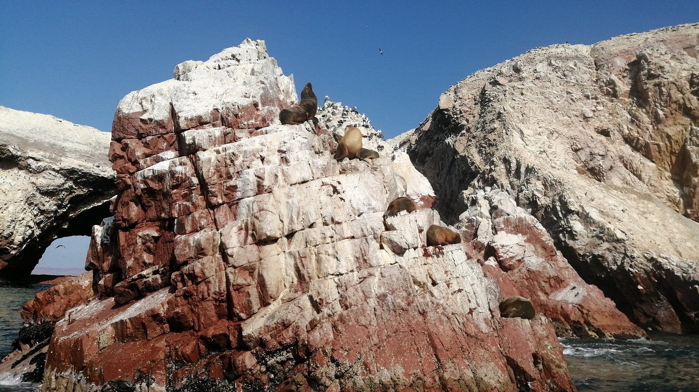 Islas Ballestas: El paraíso natural en la costa de Perú