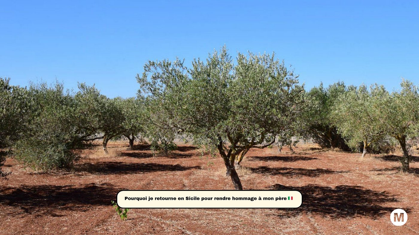 🌿 Pourquoi j’ai décidé de revenir en Sicile pour créer “Olio di Lucio”