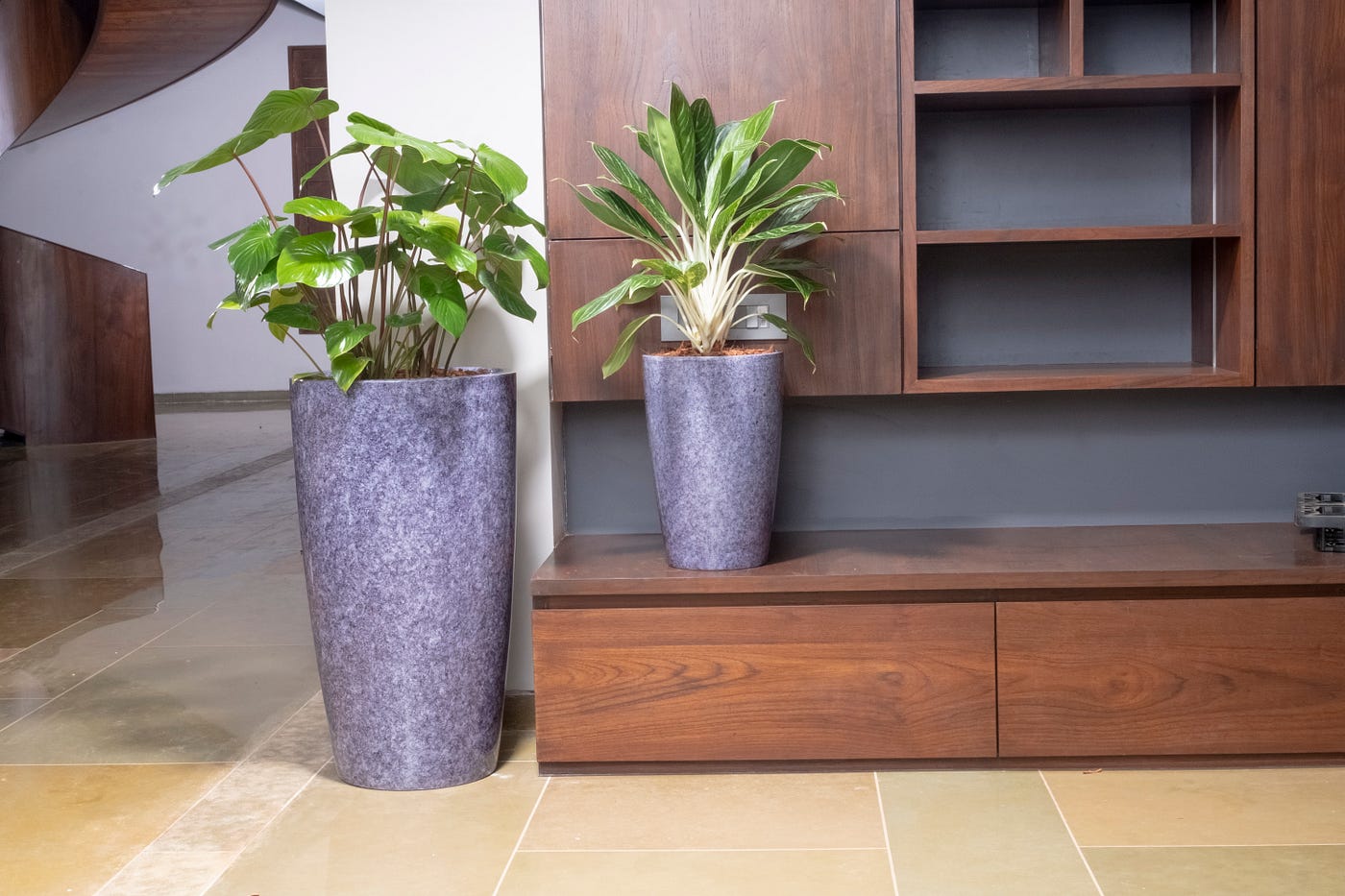 Are Fiberglass Planters Good for Plants? The Comprehensive Guide to High-Performance Greenery
