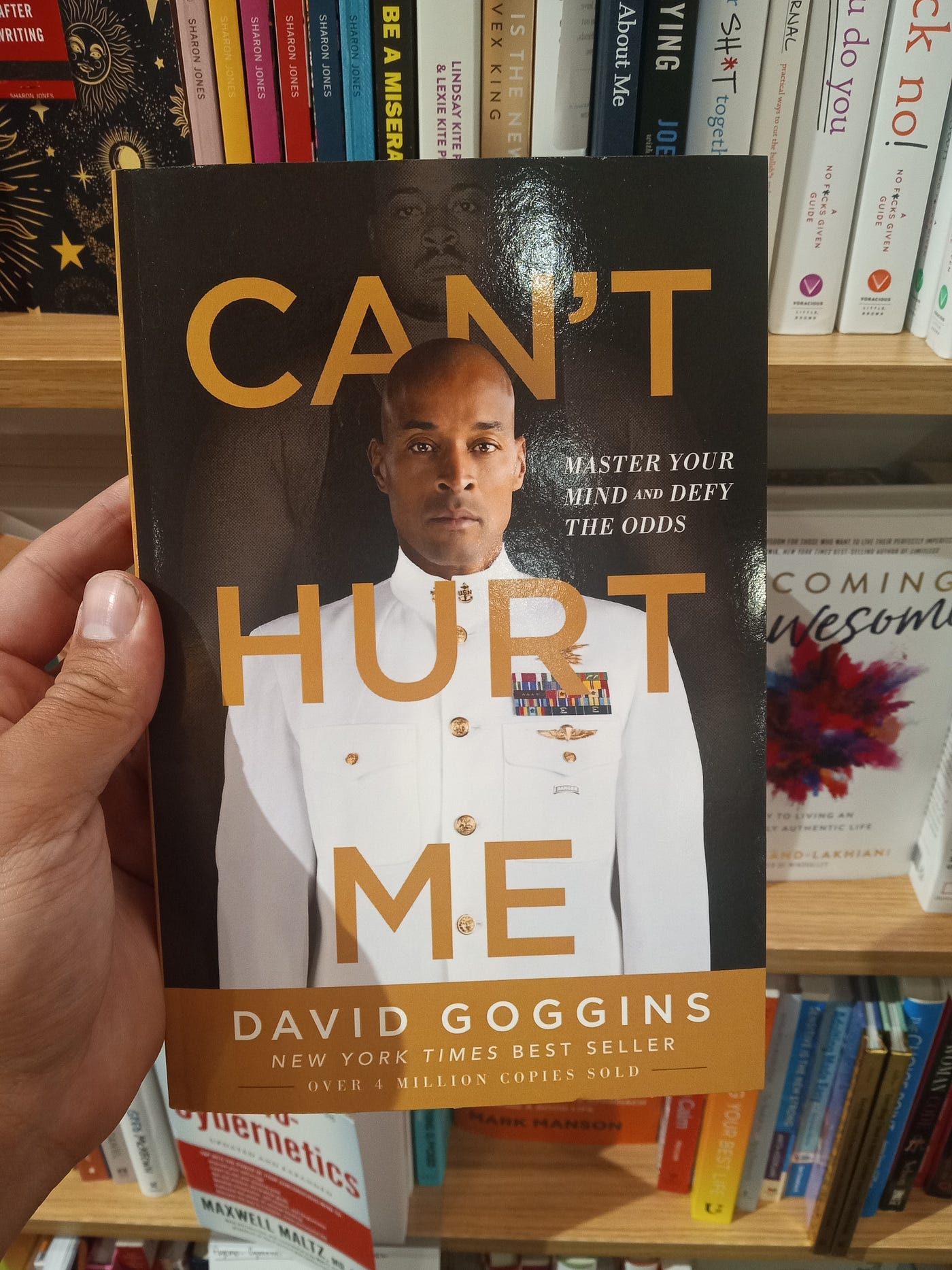 Cant Hurt Me' Book Review