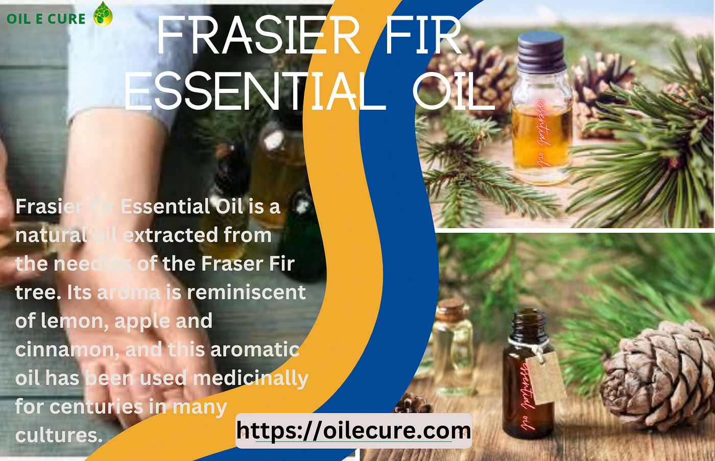 FRASIER FIR