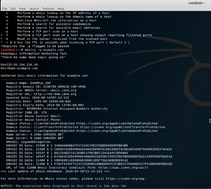 Understanding the Power of Whois Command in Kali Linux