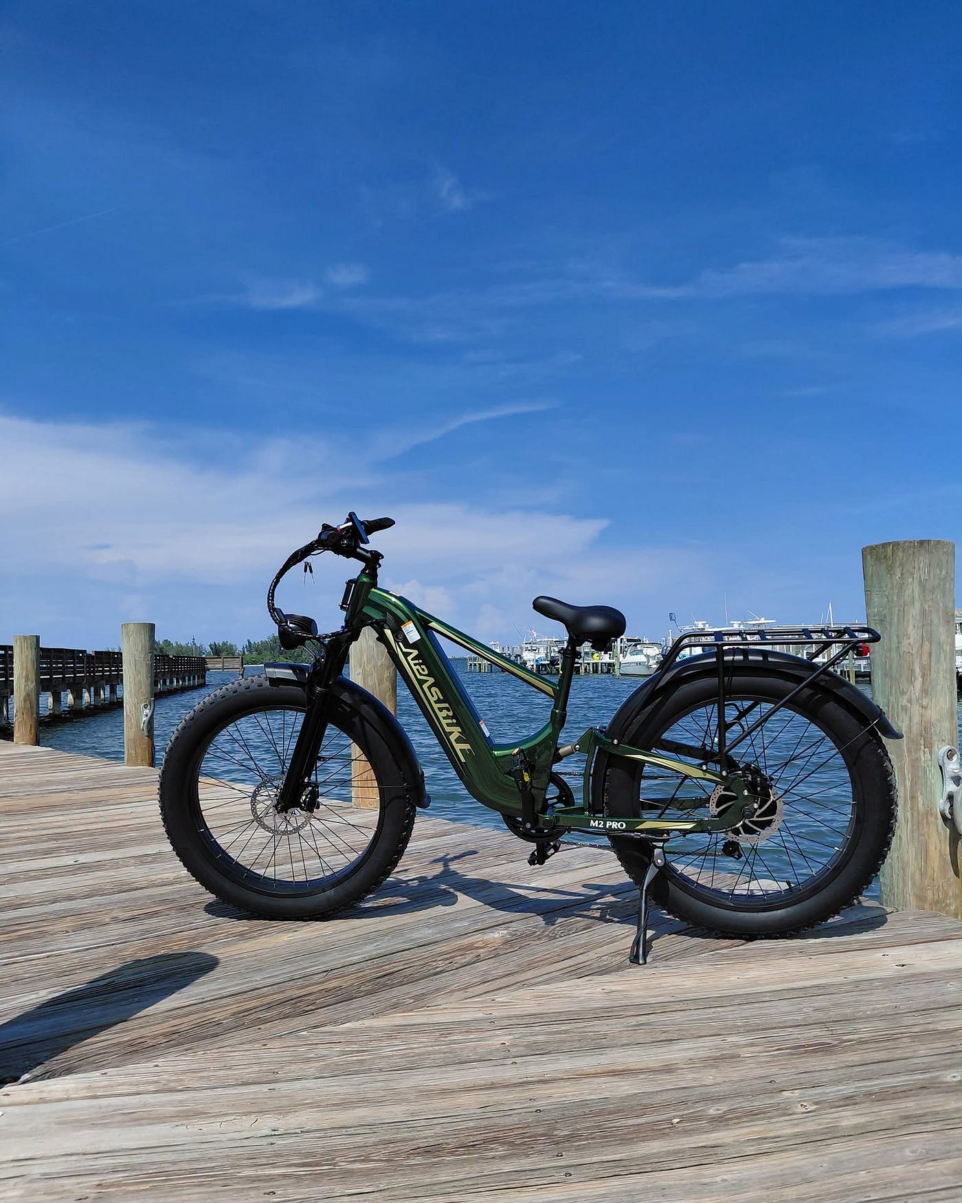 Electric Bikes for Every Lifestyle: How to Pick the Right Ride for Commuting, Hunting, and Everyday…