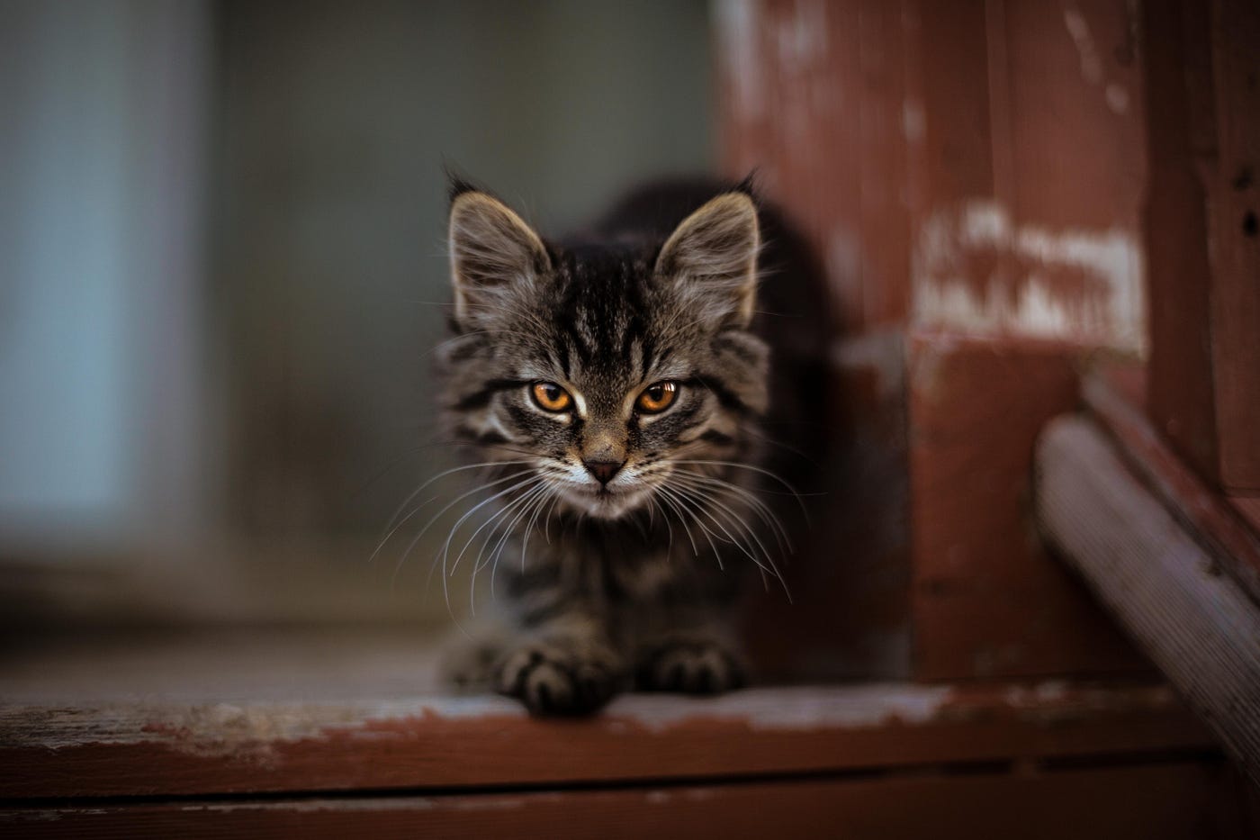 Photo by 42 North on Unsplash