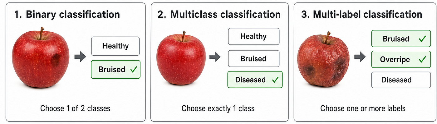 Classification vs Segmentation vs Detection in image