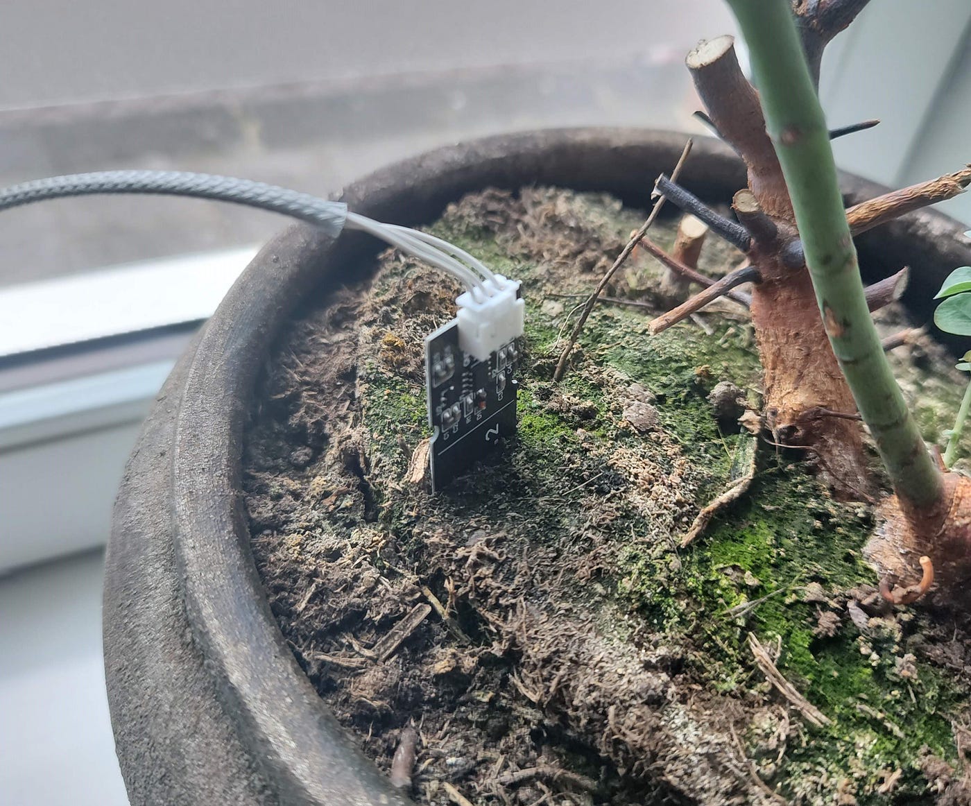 Building a wireless plant soil moisture monitoring system using ESP-IDF and  ESP32-C3 | by Taneli Leppä | Medium