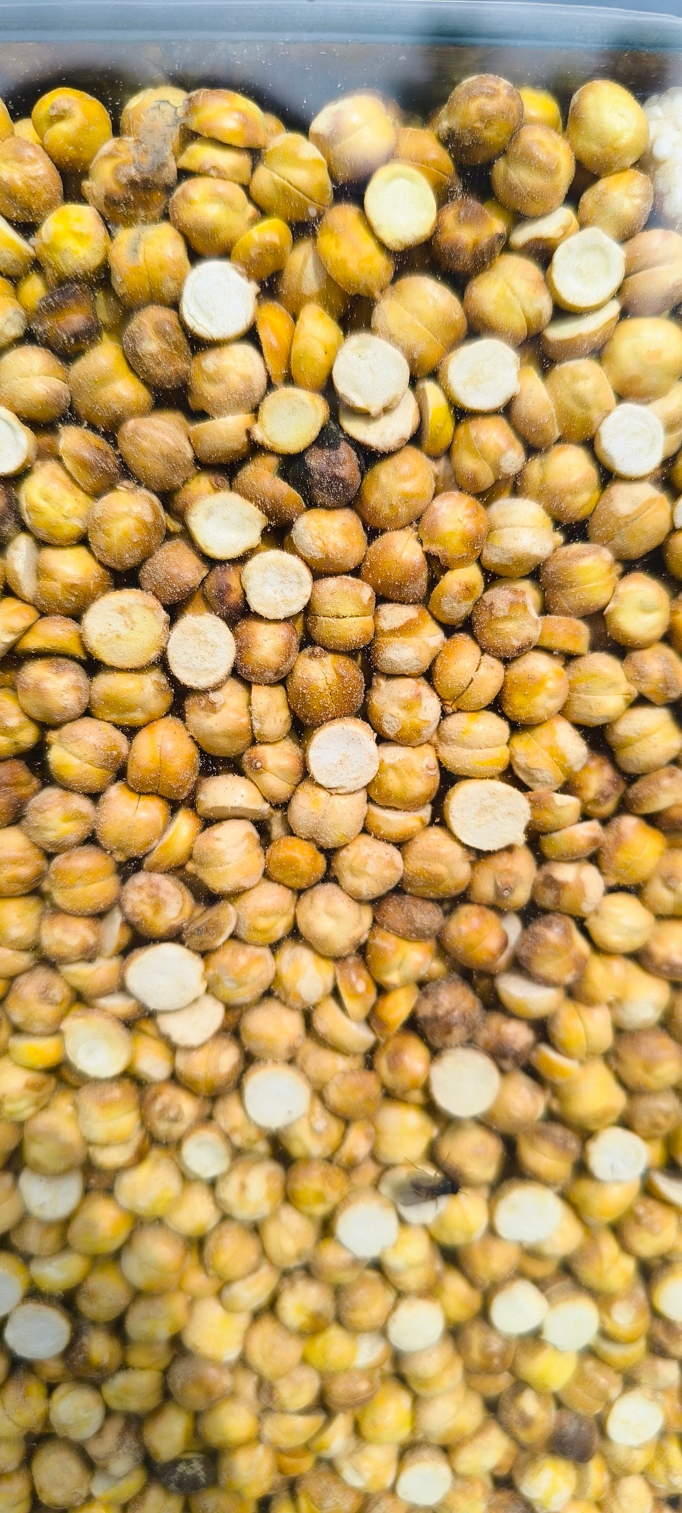 Health Benefits Of Roasted Chana For Men: Get Started! | by Muhammad Ashfaq  | Medium, image size:1400x3104