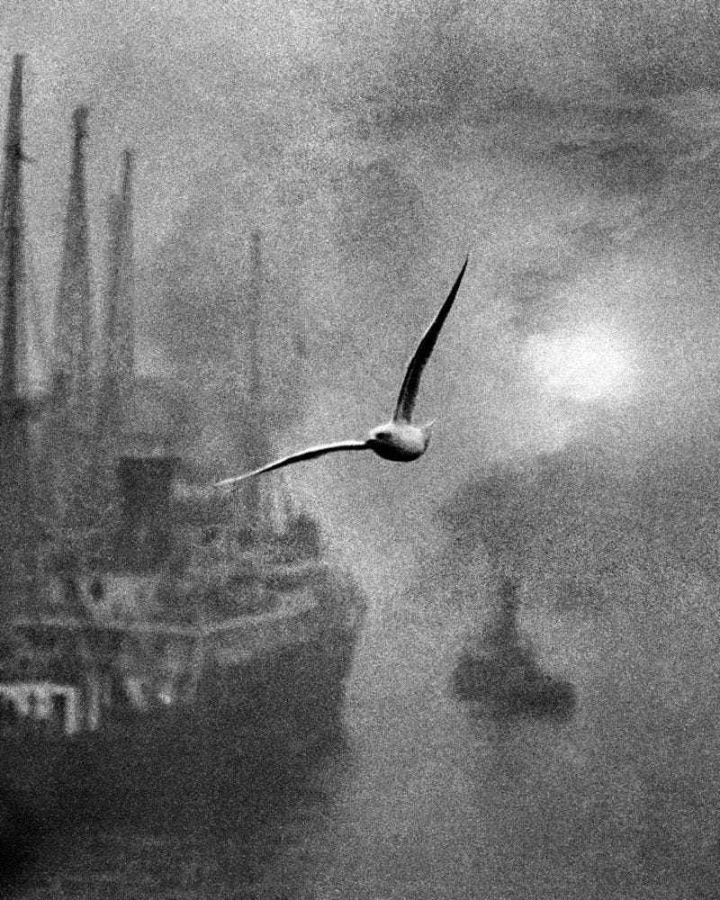 The Art in Bill Brandt's Photographs | by Roberto Quezada-Dardon