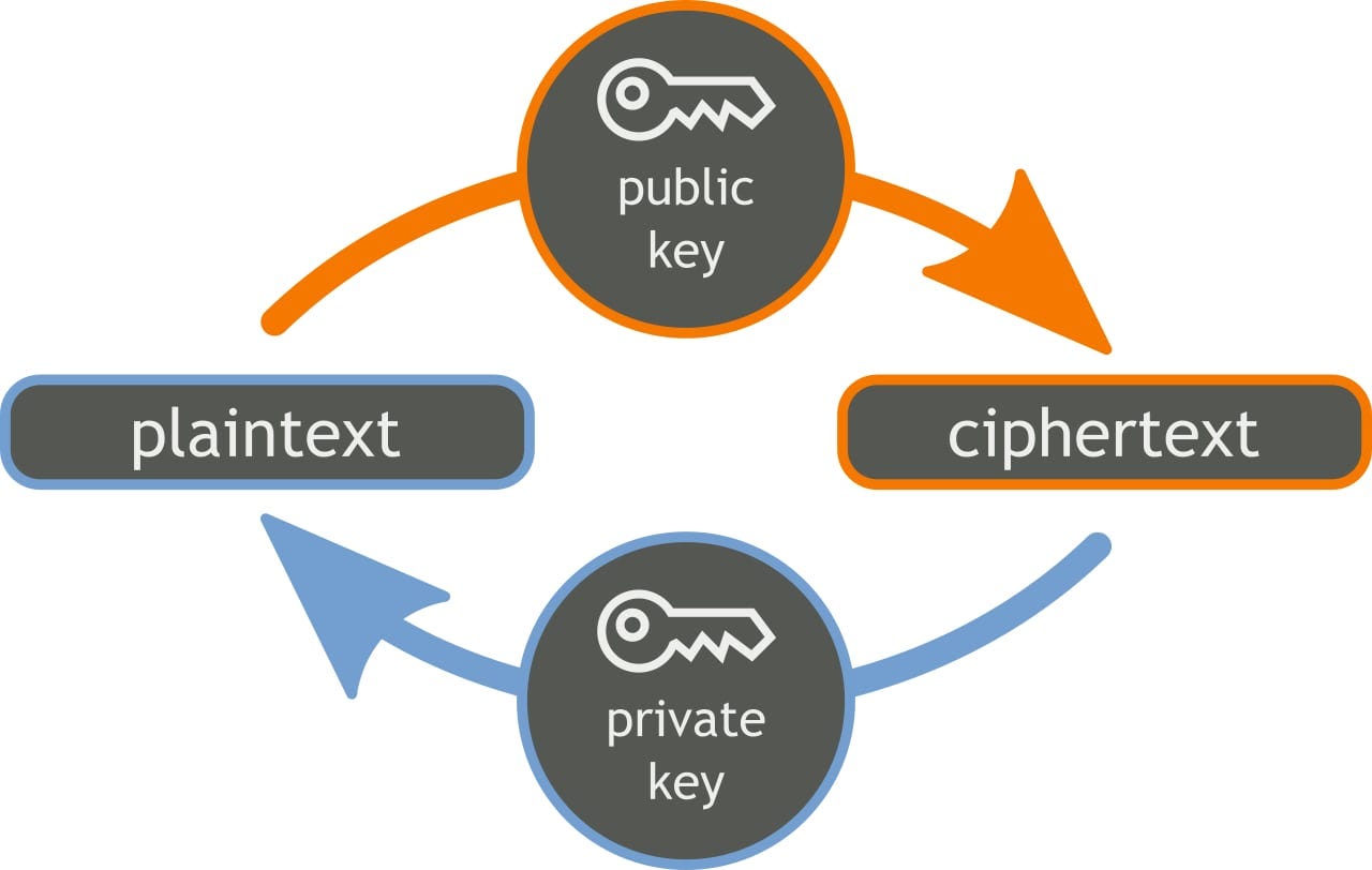 Role of Public Key Cryptography in Self-Sovereign Identity | by Affinidi  Pte. Ltd. | Affinidi