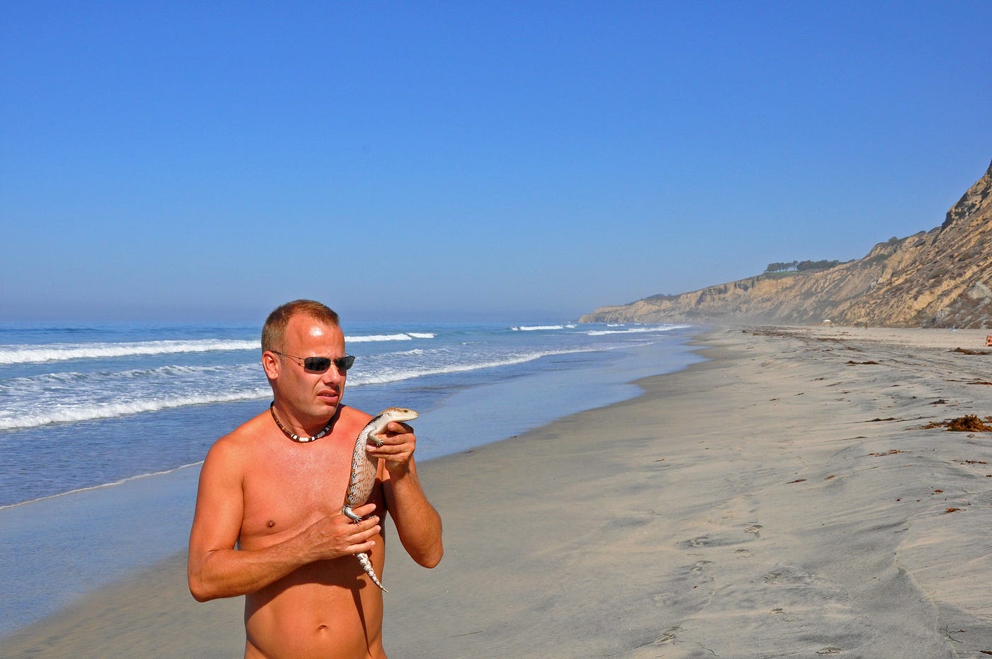 The Nudist Next Door