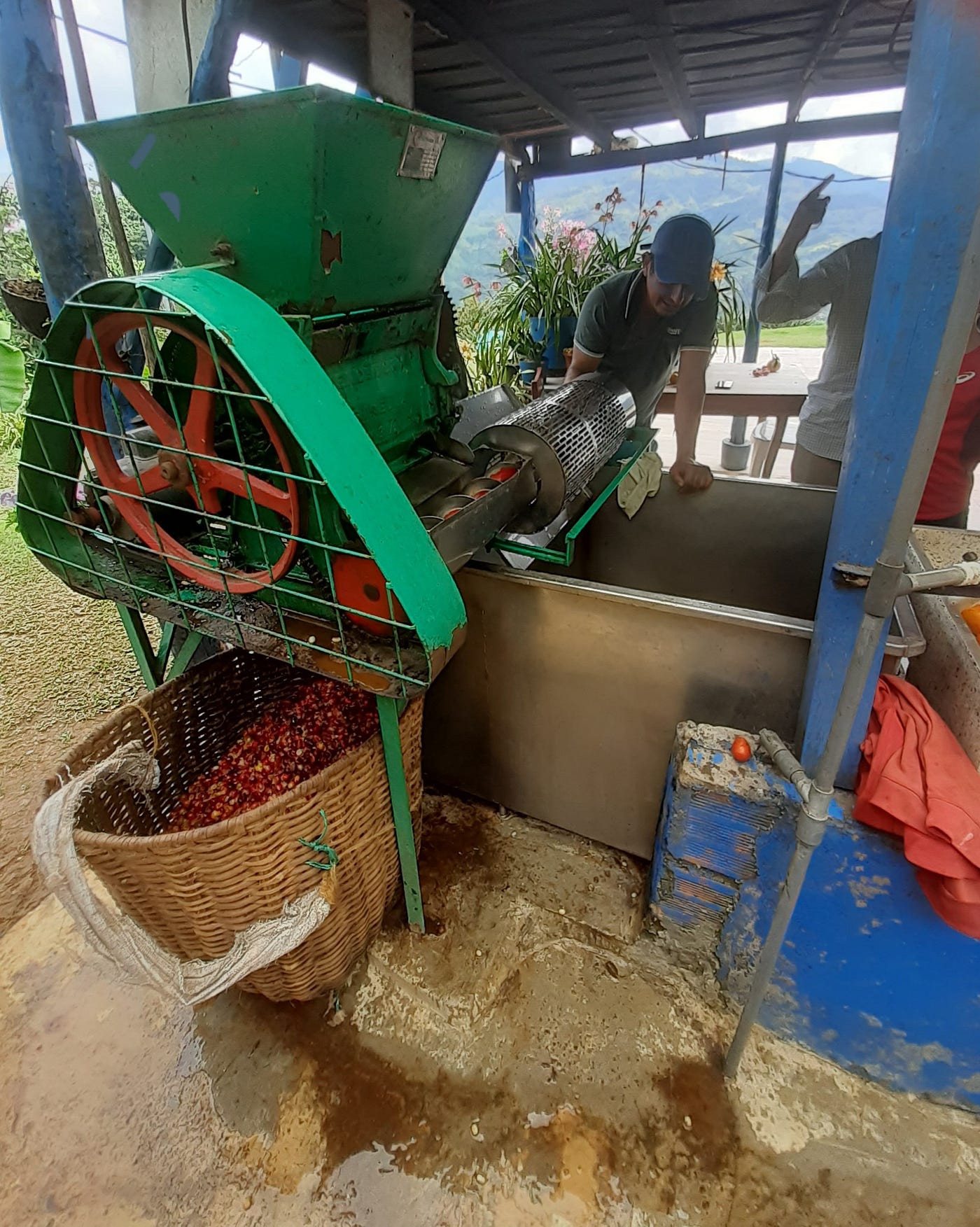 La machine qui lave, épluche et trie les grains
