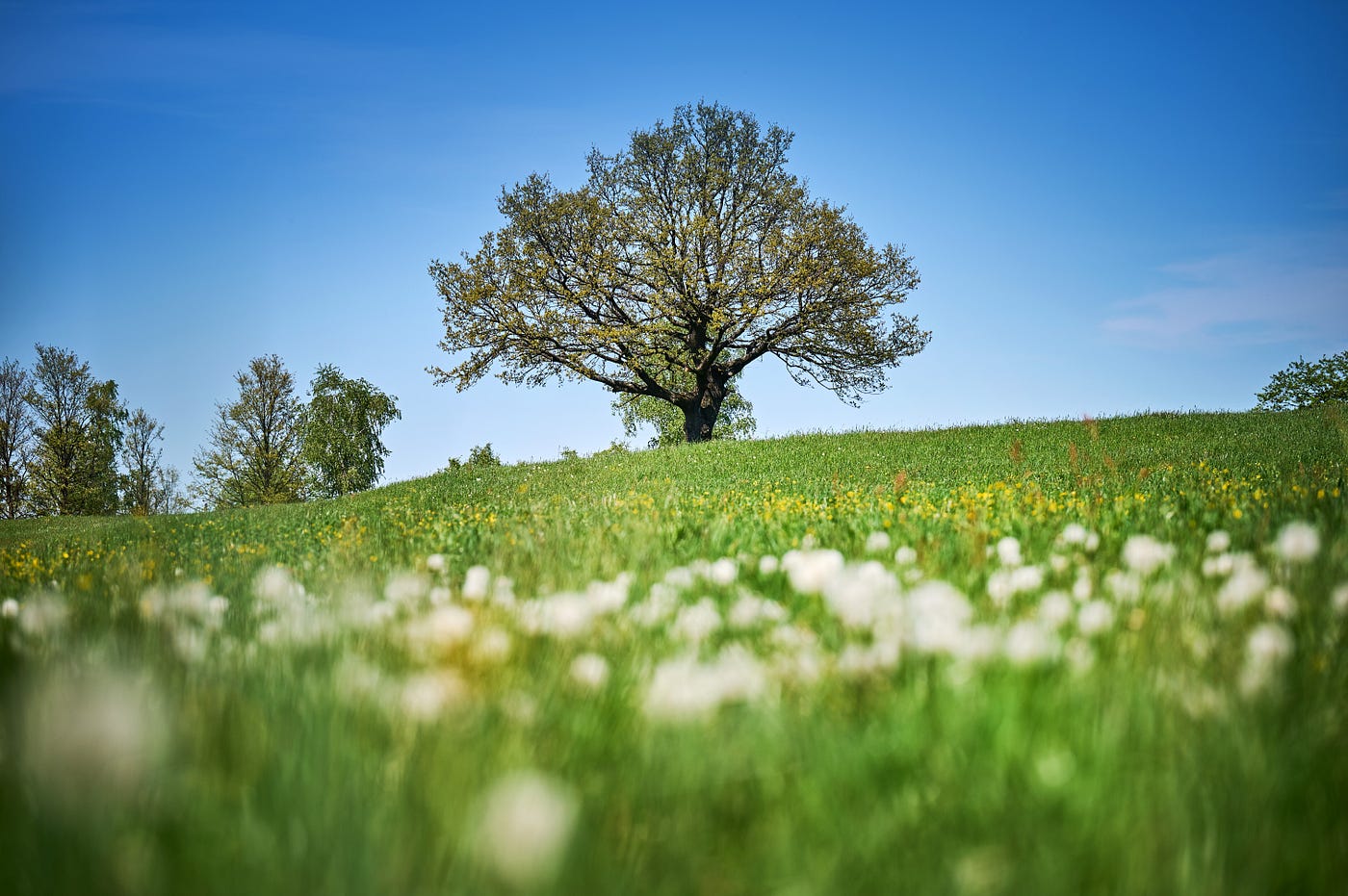 Fonte: https://www.visitkrsko.com/en/