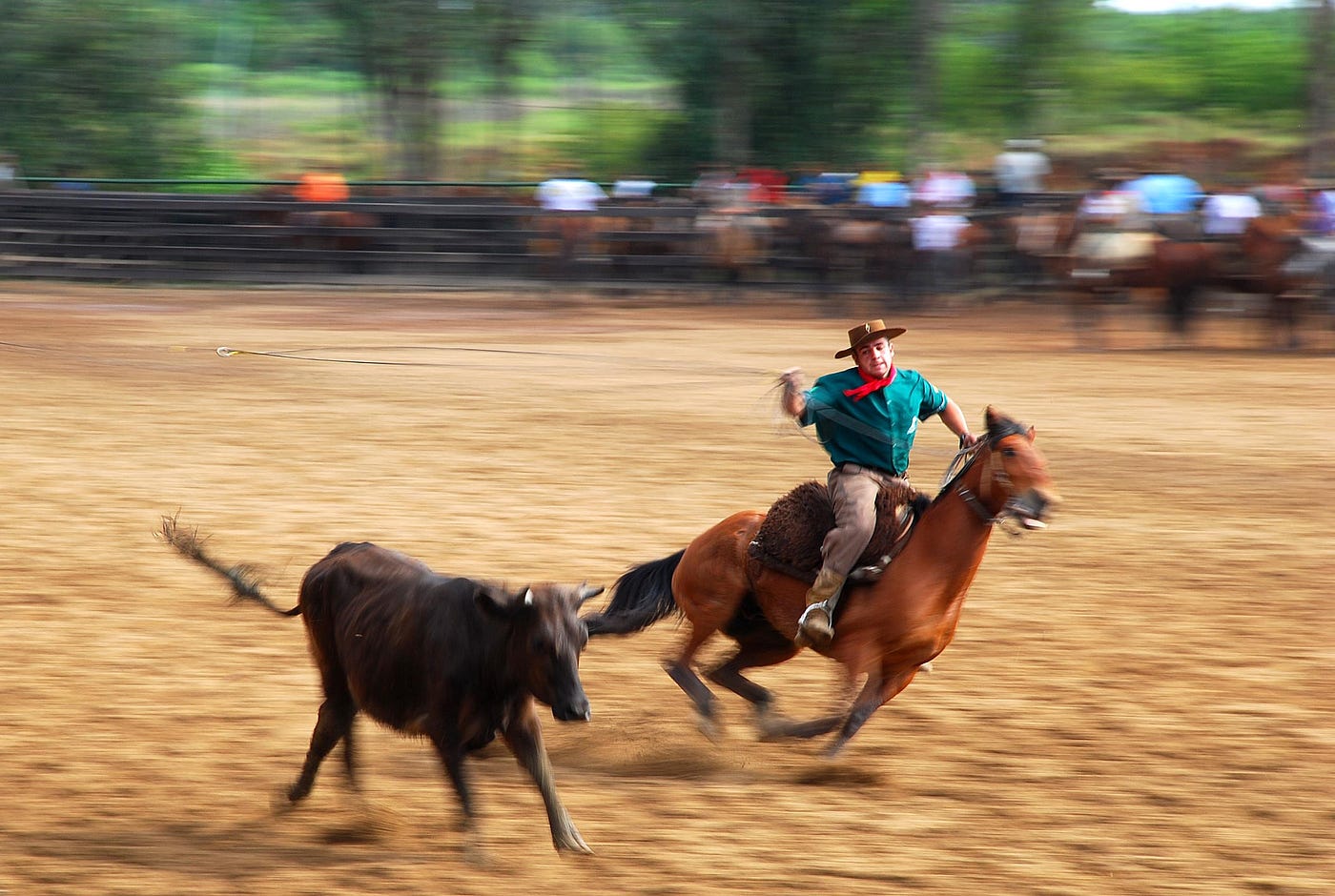 Projeto de lei quer proibir rodeios no Rio Grande do Sul