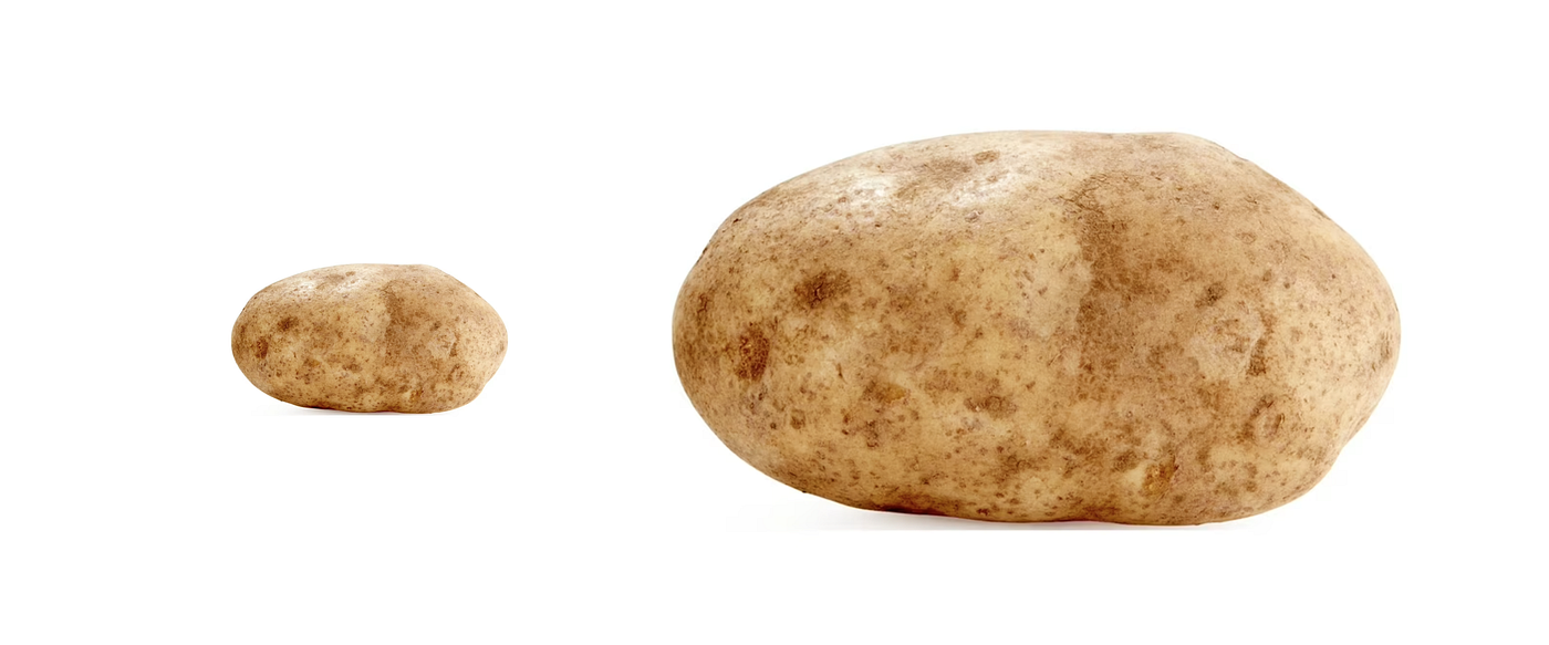 Small Potato, Big Potato: Growth and Responsibilities as a Product Designer 🕸️🖱️