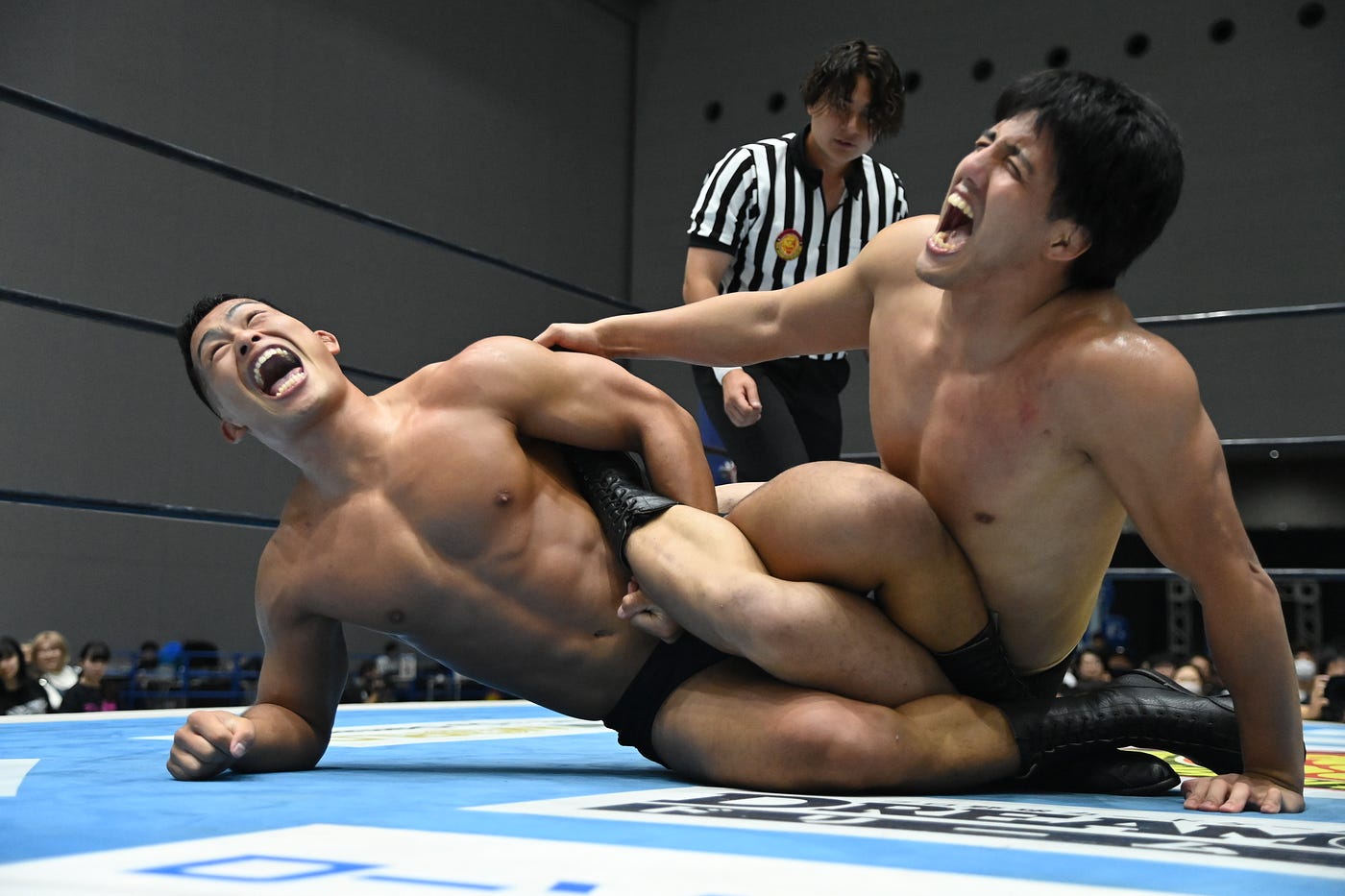 MASS APPEAL(マスアピール) ISSUE 9 Simpson MASAP Mudsill Anchor For Panelized Forms - G90