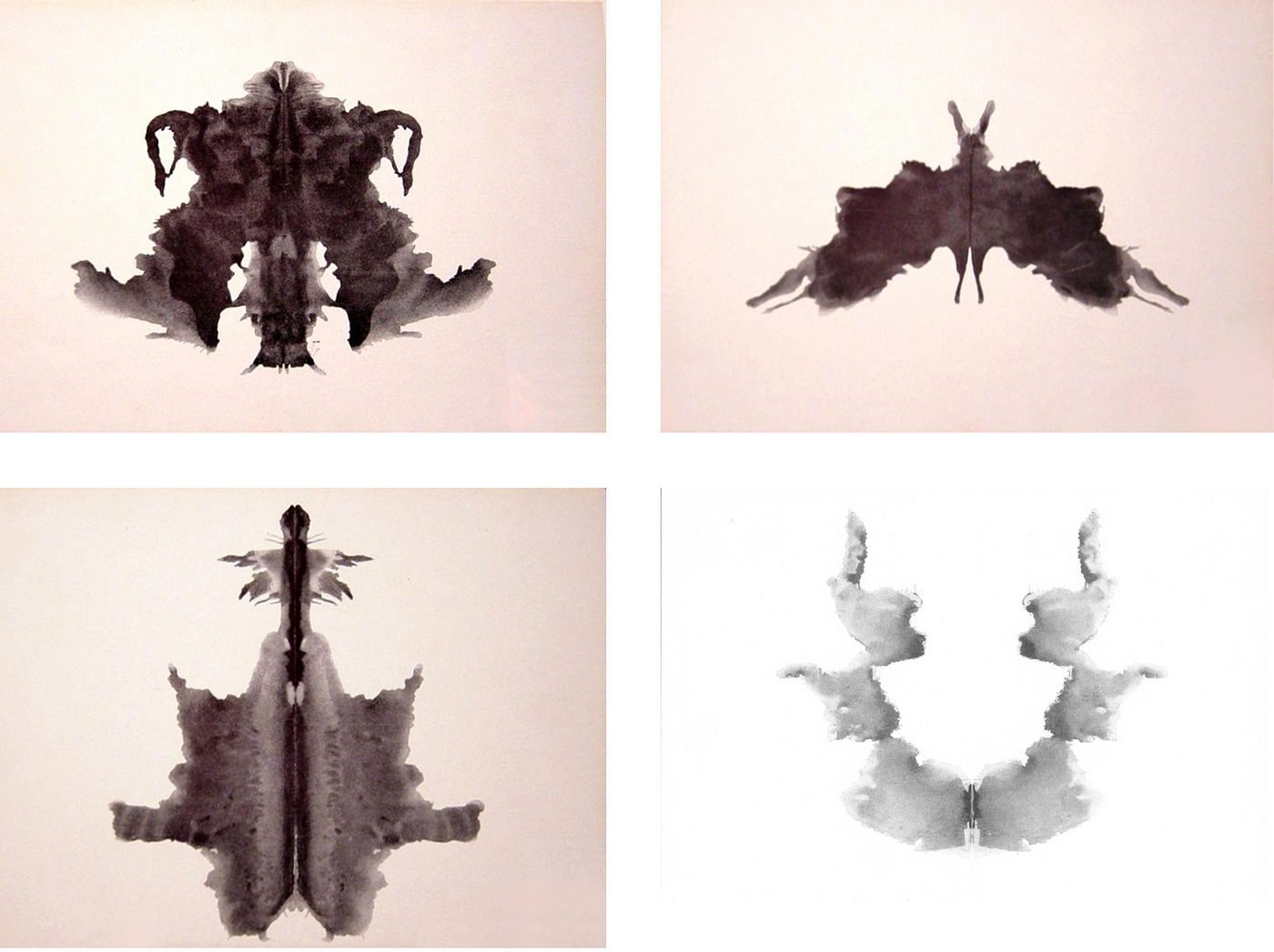 Tell Me What You See: The Rorschach Test and Its Inventor - The