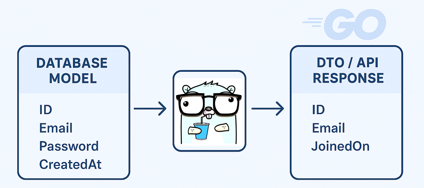 Designing Effective Data Transfer Objects (DTOs) in Go Applications