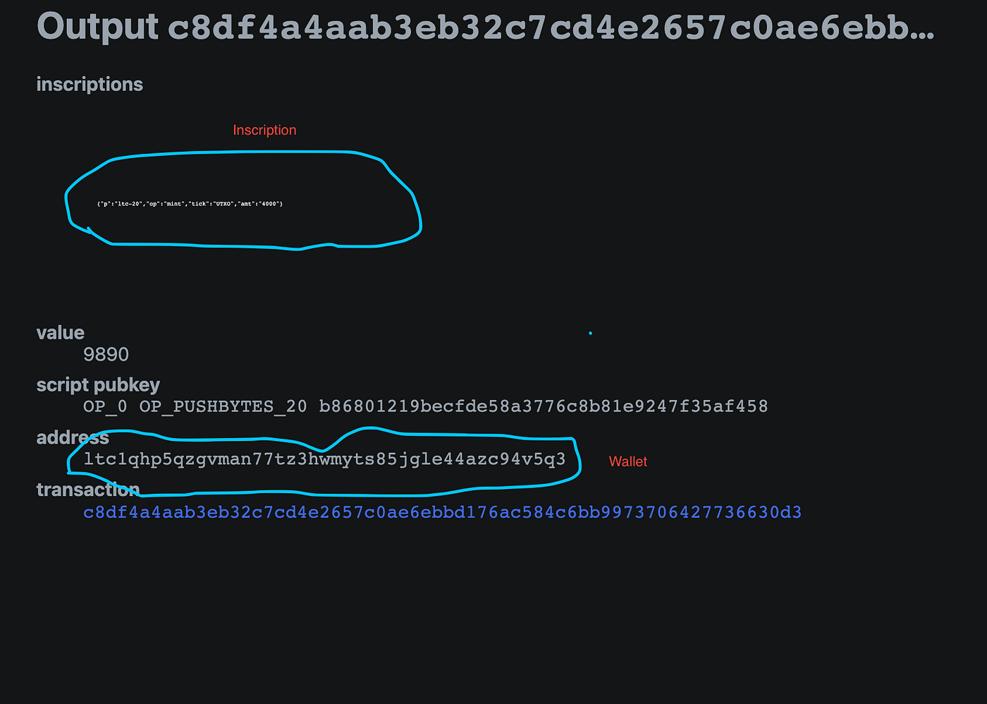 How To Safely Use Electrum Litecoin to Store and Send LTC20 Tokens | by Old  School Crypto | Medium