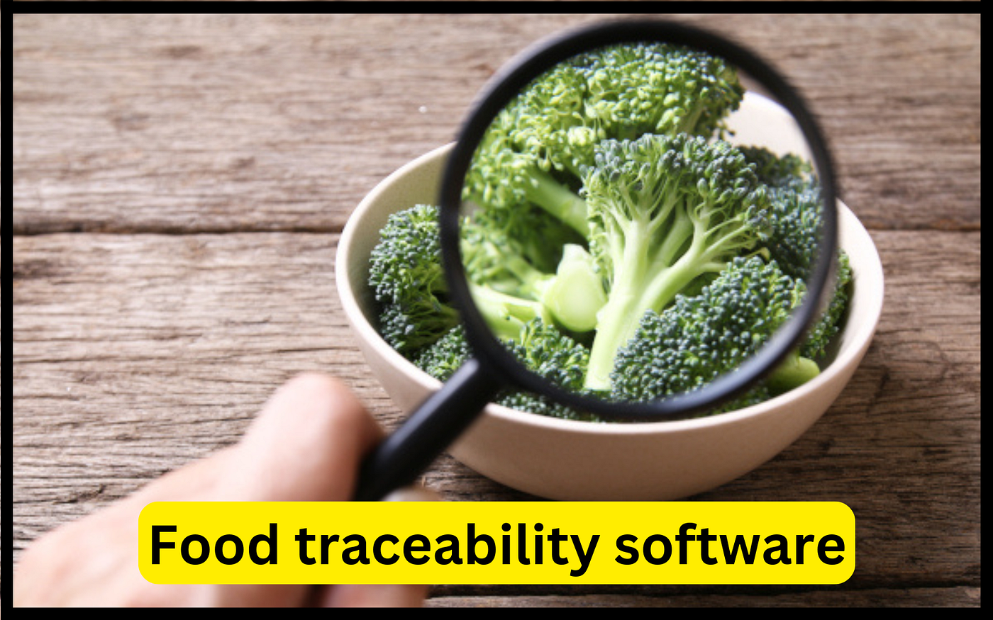The FSMA 204 Blueprint: How Traceability Software Solves the New FDA Mandates